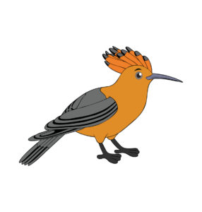 Upupa epops bird vector