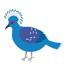 Victoria Crowned Pigeon vector