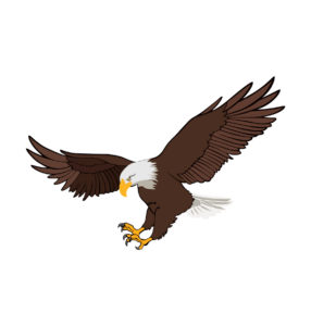 White-tailed eagle vector