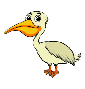 babay Pelican Bird
