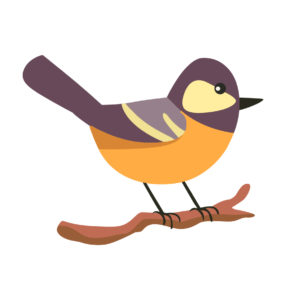 bird vector
