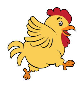 chicken vector