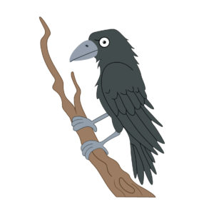 crow birds vector