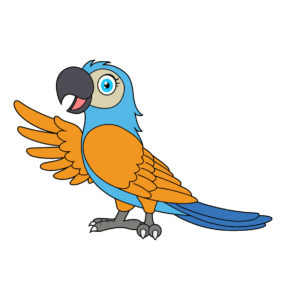 cute macaw parrot  birds