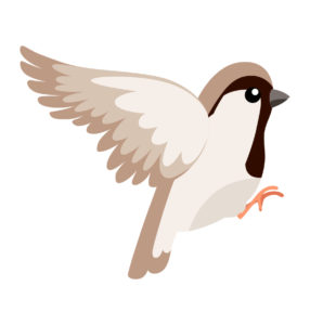 cute sparrow cartoon