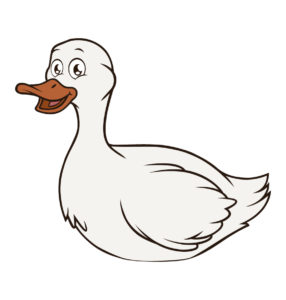 duck bird vector