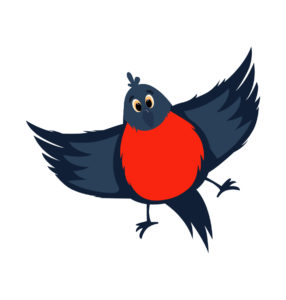 flying Finches cartoon