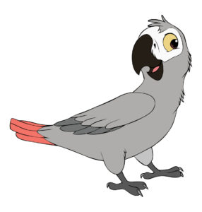 grey parrot cartoon