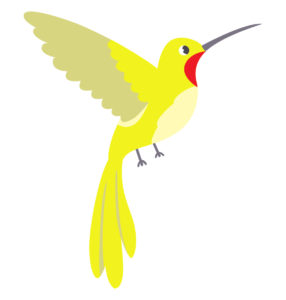 hummingbird bird cartoon