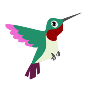 hummingbird birds