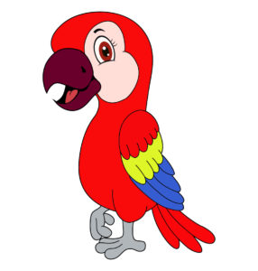 macaw parrot cartoon