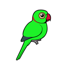 parrot vector