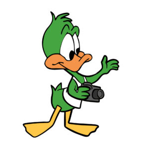 plucky duck cartoon