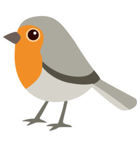 robin bird vector