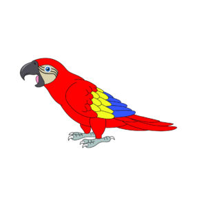 talking macaw parrot bird