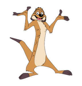 timon cartoon