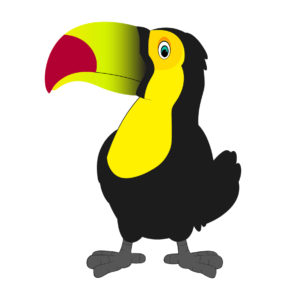 toucan bird
