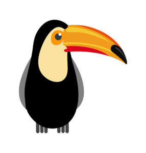 toucan bird vector