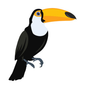 toucan birds vector