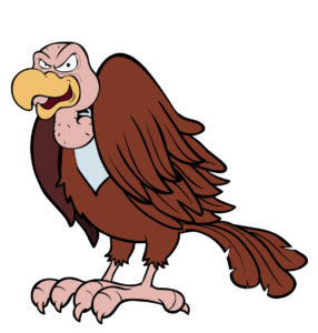 vulture bird