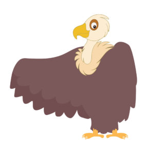 vulture bird vector