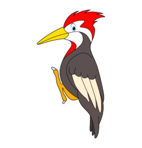 woodpecker vector