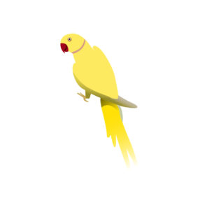 yellow parrot vector