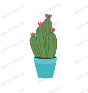 Cactus Drawing Vector Design