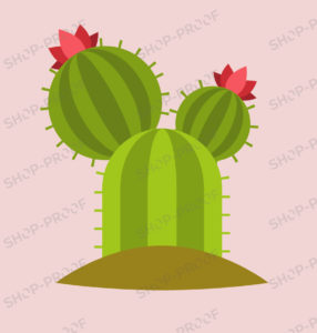 Cactus High Quality Vector Design