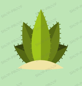 Cactus Plant Vector Design