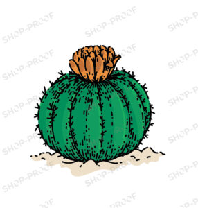 Creative Cactus Vector