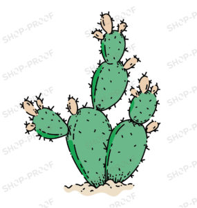 Desert Cacti Vector