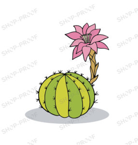 Flower Cactus Vector