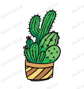 Cactus Illustration Vector