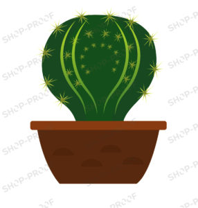 Cactus Pot Vector