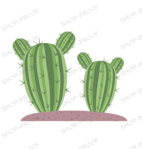 Cactus Royalty Vector