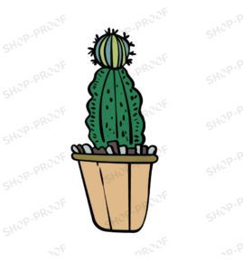 Creative Cacti Vector