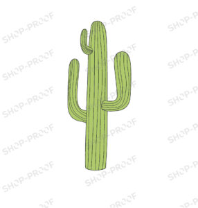 Mexican Cactus Vector