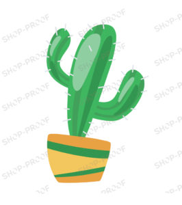 Premium Cactus Vector