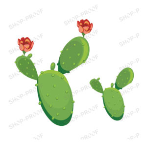 Rose Cactus Vector
