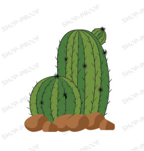Tropical Cactus Vector