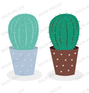 Two Different Color Cactus Vector