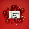 Naughty Nice I Tried Vector Christmas Vector